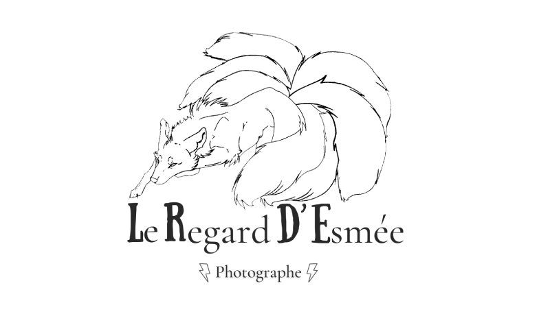 Logo du photographe Le Regard d'Esmée photographe.