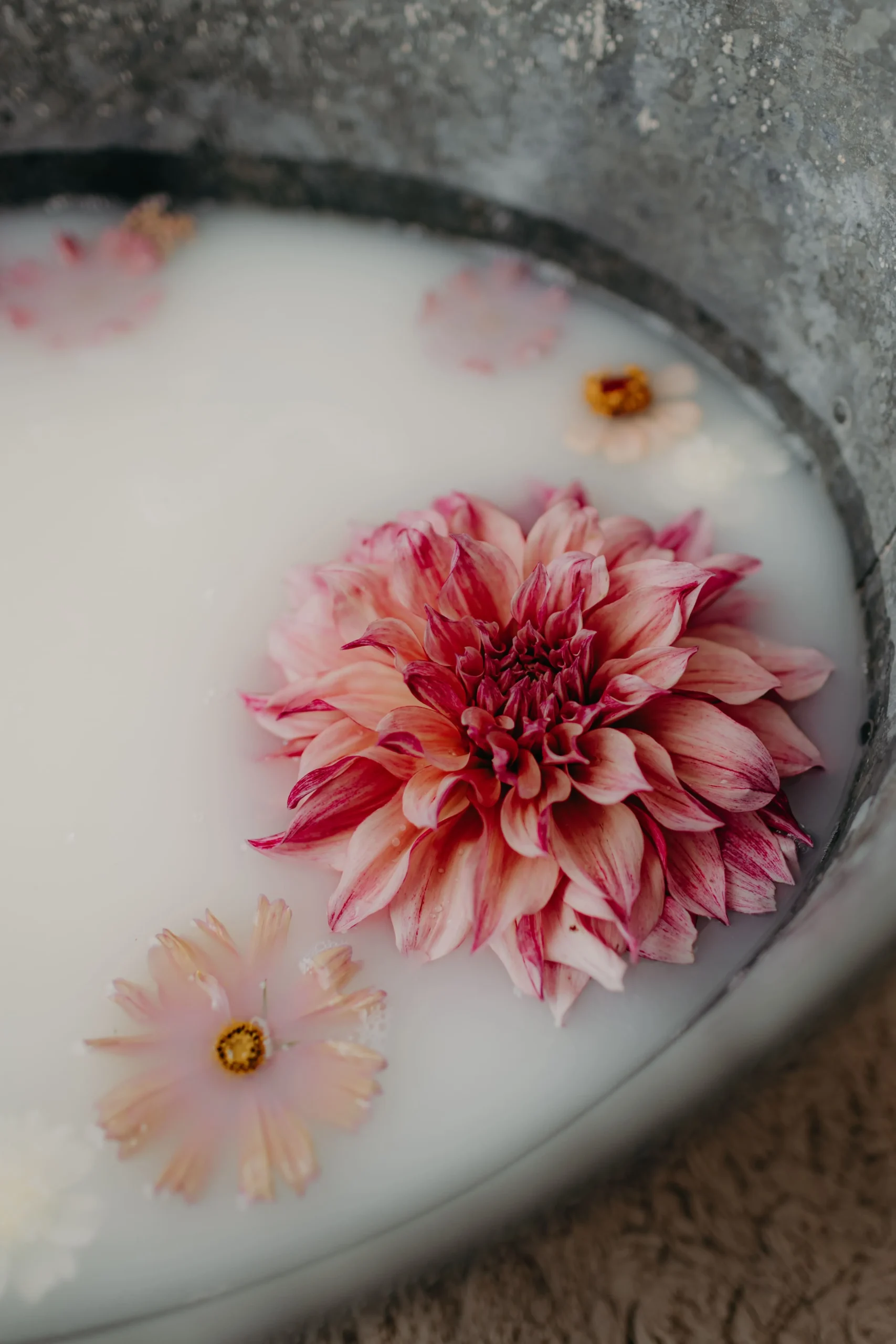 séance naissance bain de lait floral