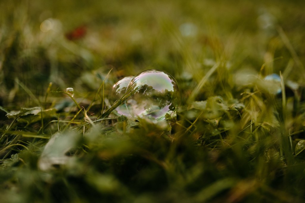 photographe-famille-le-mans-seance-foret (110)