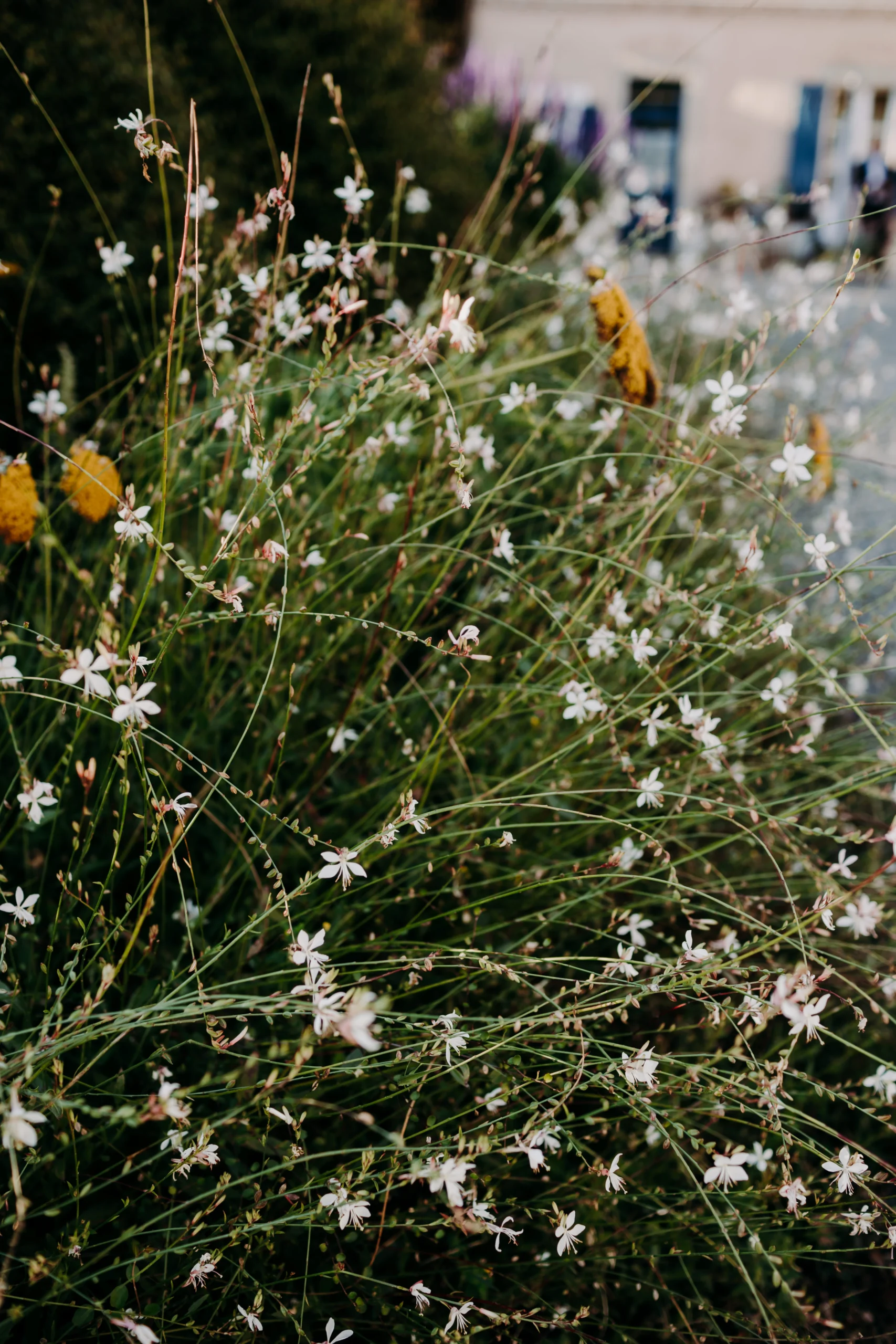 mariage-golden-hour-normandie (30)