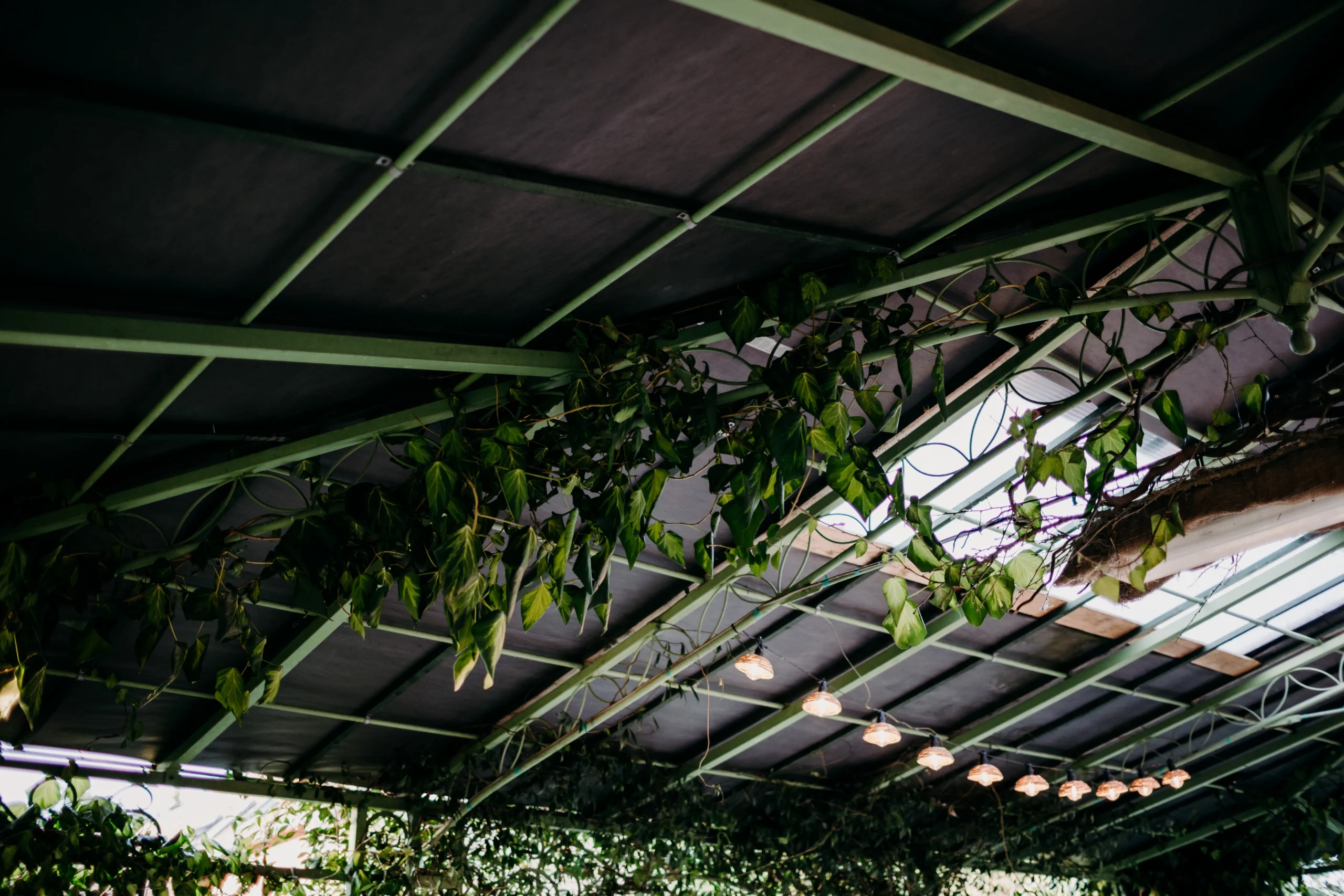 mariage-golden-hour-normandie (37)