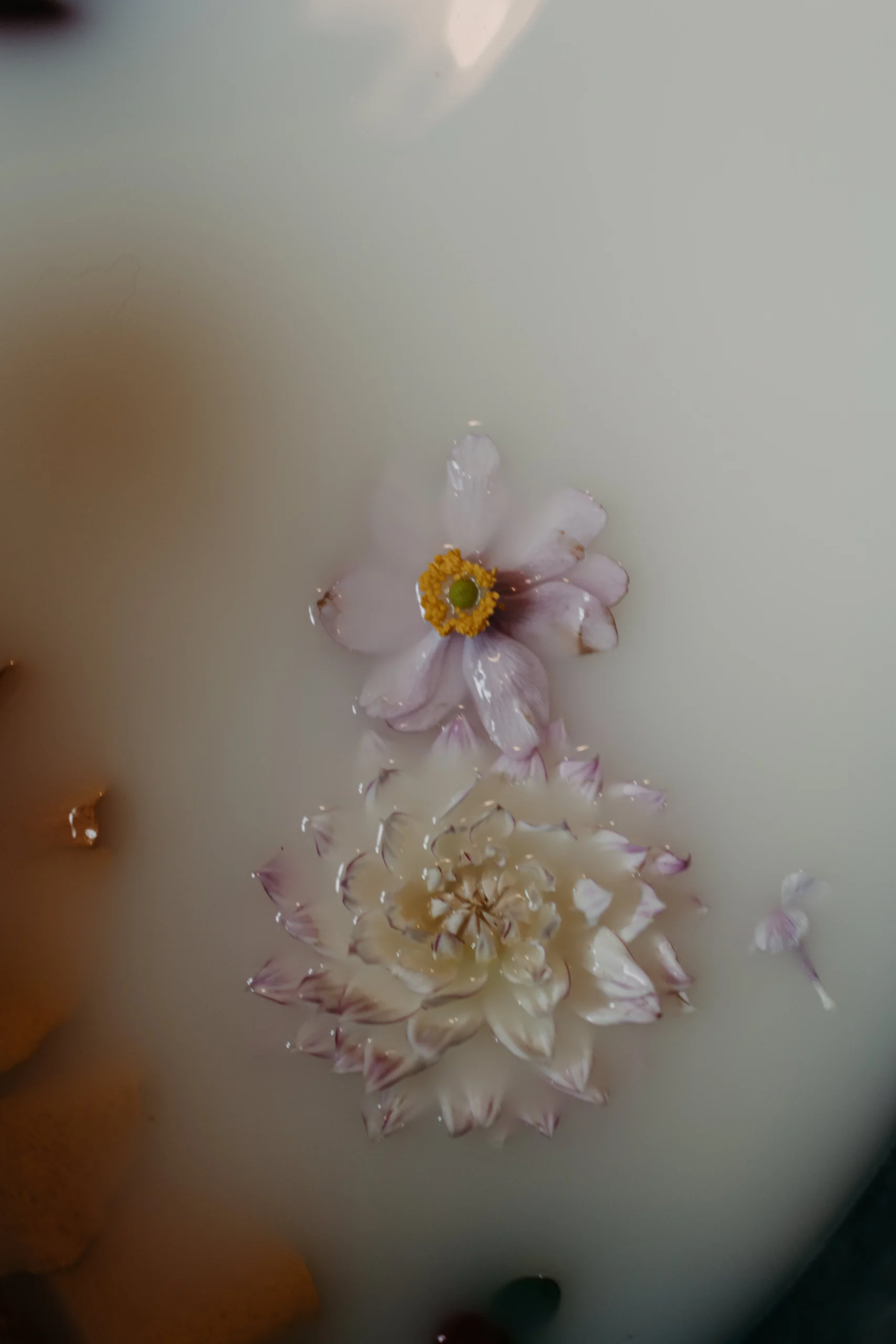 séance-photo-bain-lait-floral-bébé-Le-Mans (20)